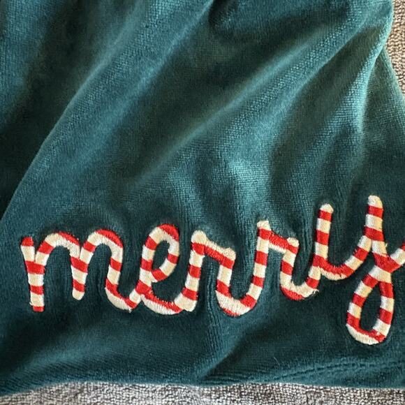 NWT Bluey Christmas Shirt & Overall Skirt Outfit Size 18 Months - Picture 3 of 12